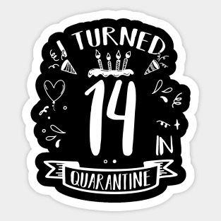 I Turned 14 In Quarantine Sticker